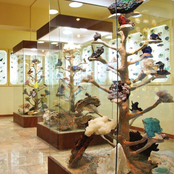Natural History Museum near Tolo
